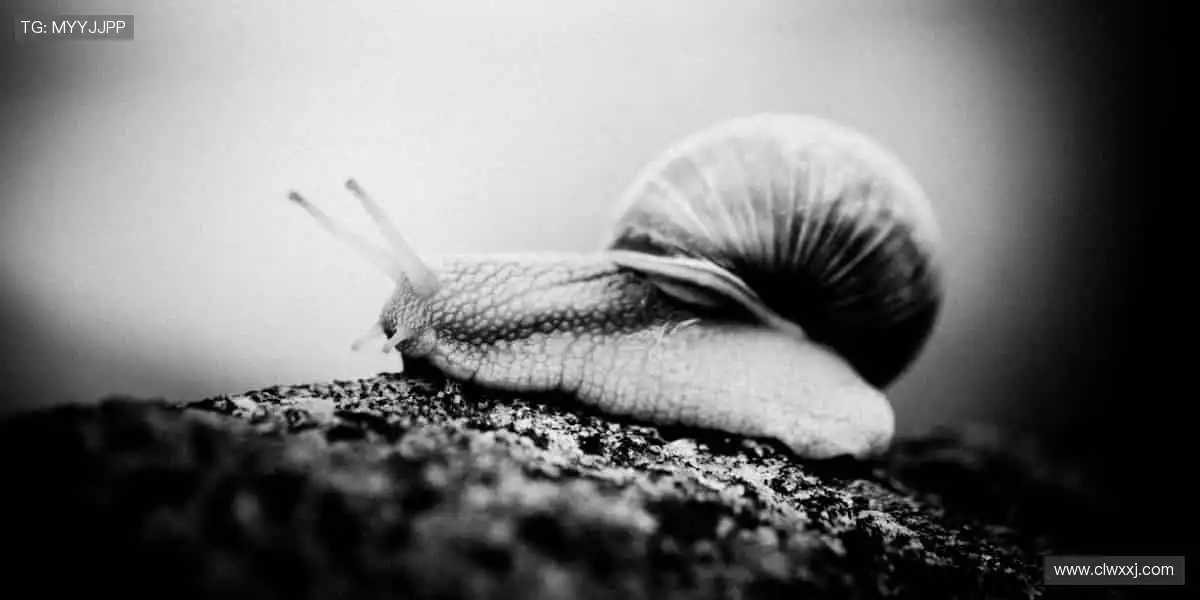 周边好物，点燃热爱！🎯👕